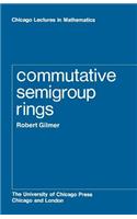 Commutative Semigroup Rings