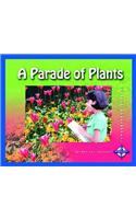 A Parade of Plants