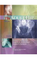 The Adult Hip