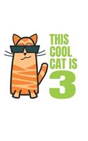 This Cool Cat is 3