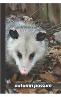 autumn possum