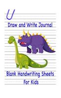 Draw and Write Journal: Blank Storybook Gift for Kids, Girls and Boys