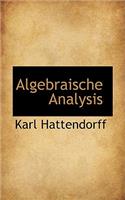 Algebraische Analysis
