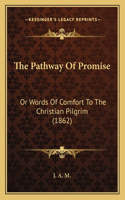 The Pathway Of Promise: Or Words Of Comfort To The Christian Pilgrim (1862)