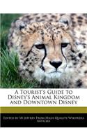 A Tourist's Guide to Disney's Animal Kingdom and Downtown Disney