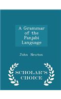 A Grammar of the Panjabi Language - Scholar's Choice Edition