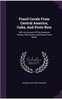 Fossil Corals From Central America, Cuba, And Porto Rico