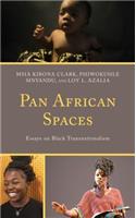 Pan African Spaces