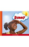 Sunny