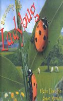 Starting Life: Ladybug: (Starting Life)