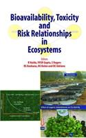 Bioavailability, Toxicity, and Risk Relationship in Ecosystems