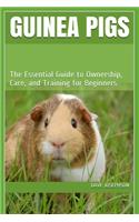Guinea Pigs
