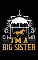I'm A Big Sister