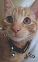Notes: Cat Lover's Notebook, Journal with Cute Drawings, featuring Chewie