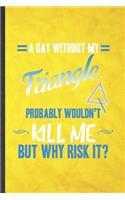 A Day Without My Triangle Probably Wouldn't Kill Me but Why Risk It