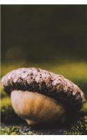 Acorn Nut - Lined Notebook with Margins - 6X9: 101 Pages, Medium Ruled, 6 x 9 Journal, Soft Cover