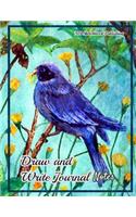 Draw and Write Journal Notes