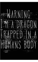 Warning I'm a Dragon Trapped in a Humans Body: Video Games Blank Notebook; Journal; Diary (6 x 9 inches, 100 pages)