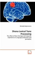 Shona Lexical Tone Processing