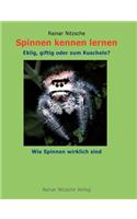 Spinnen Kennen Lernen