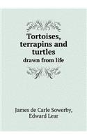 Tortoises, Terrapins and Turtles Drawn from Life