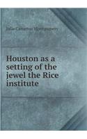 Houston as a setting of the jewel the Rice institute: (English)