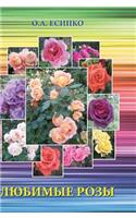Favorite rose