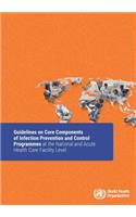 Guidelines on Core Components of Infection Prevention and Control Programmes at the National and Acute Health Care Facility Level