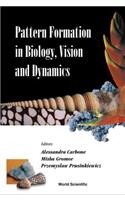 Pattern Formation in Biology, Vision and Dynamics