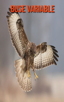 Buse Variable