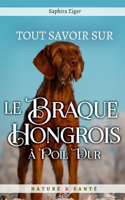 Tout Savoir Sur Le Braque Hongrois à Poil Dur