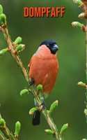 Dompfaff: Sagenhafte Fotos & Buch mit lustigem Wissen über Dompfaff für Kinder