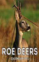 Roe Deers Calendar 2021