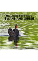 New Zealand bird views