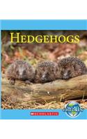 Hedgehogs: (Nature's Children)