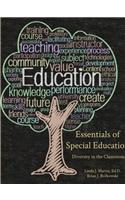 Essentials of Special Education
