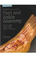 McMinn's Color Atlas Of Foot And Ankle Anatomy