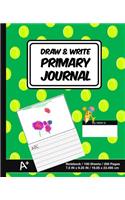 Draw & Write Primary Journal: Sports Tennis Ball Print - Kids Primary Drawing Writing Journal - Story Notebook For Home & School [Classic]