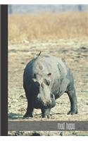 Mud Hippo