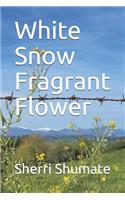 White Snow Fragrant Flower