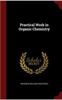 Practical Work in Organic Chemistry