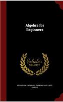 Algebra for Beginners