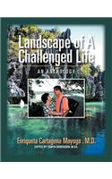 Landscape Of A Challenged Life