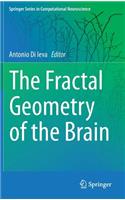 Fractal Geometry of the Brain