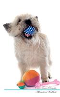 Cairn Terrier Affirmations Workbook Cairn Terrier Presents: Positive and Loving Affirmations Workbook. Includes: Mentoring Questions, Guidance, Supporting You.