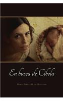 busca de Cíbola