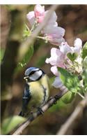 Bird in the Hand: Blue Tit (Cyanistes caeruleus) Bird Journal: 150 Page Lined Notebook/Diary