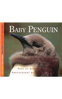 Baby Penguin