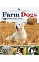 Farm Dogs