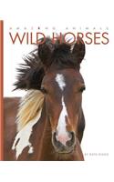 Amazing Animals: Wild Horses